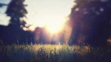 Backyard 4k Living Background Ux