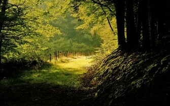 HD Nature Wallpaper Nice