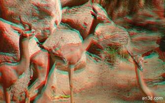 Buivasysw Anaglyph Wallpaper