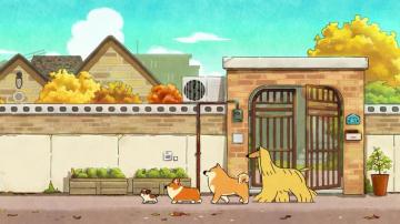 Doggie Corgi Walking With His Friends Live Wallpaper