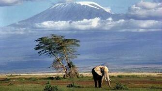 Mount Kilimanjaro HD Wallpaper