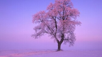 Pink Tree Wallpaper