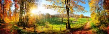Gorgeous Landscape High Quality Wall Murals With Shipping