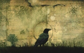 Crow Wallpaper By Tiger Tyger