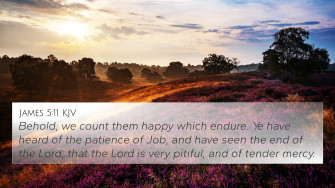 James Kjv 4k Wallpaper Behold We Count Them Happy Which