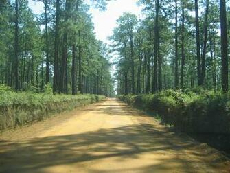 Go Back Gallery For Country Road
