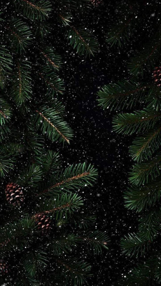 6b84d74a565d16c6553f693b1e230ea3 Wallpaper