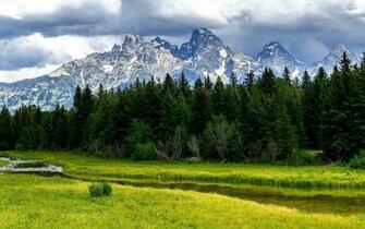 Mountain Meadow Wallpaper Nature