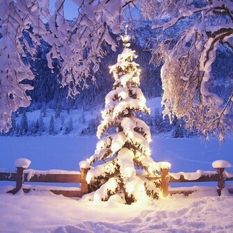 Wallpaper For Apple iPad December