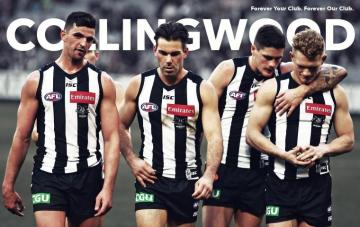 Collingwood Hawthorn Adelaide Sydney HD Wallpaper Afl