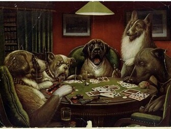 Funny Animals Playing Cards Wallpaper HD With