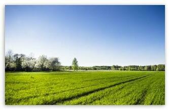 Spring HD Desktop Wallpaper Widescreen High Definition