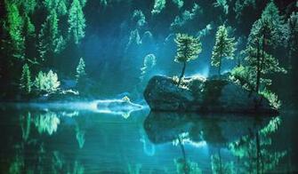 HD Nature Image Wallpaper Of Natures Plants Widescreen
