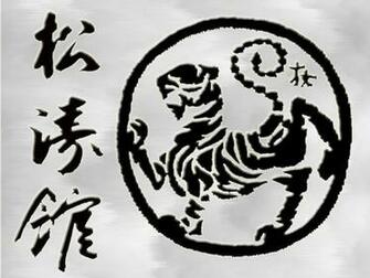 Shotokan Karate Do By Darigaazthenewflame