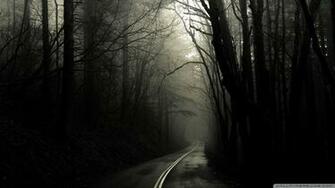 Dark Road Forest 4k HD Desktop Wallpaper For Ultra Tv