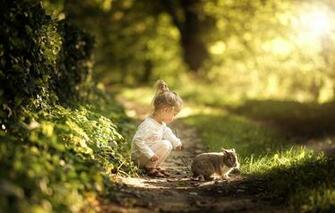 Wallpaper Summer Grass Nature Animal Rabbit Girl Path Baby