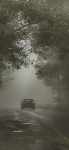 Best Misty iPhone X HD Wallpaper