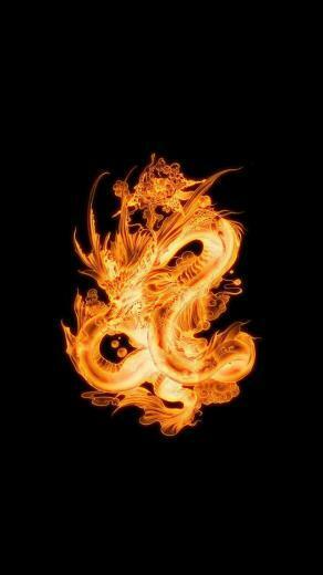 Fiery Dragon iPhone Wallpaper Background And