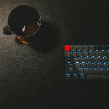 Developer Pictures Image