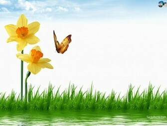 Wallpaper Nature Butterfly