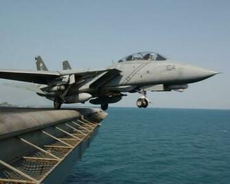 Tomcat Prints Buy A Poster