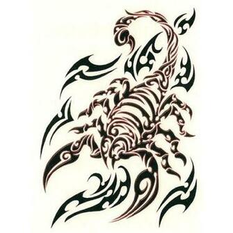 Scorpion Tattoo Tribal For Men Like