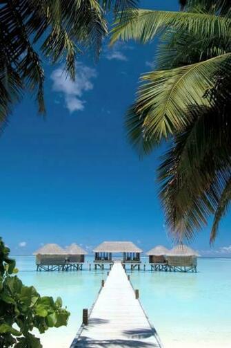 Tropical Resort Wallpaper For iPad And Galaxy Tab Tablet