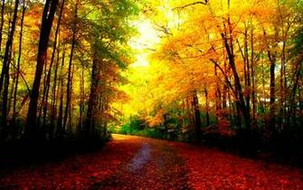 Beautiful Autumn Wallpaper