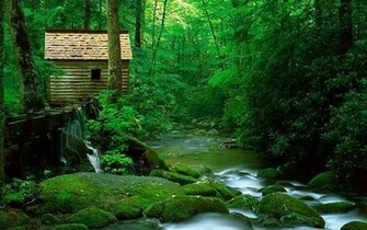 Best Nature Wallpaper You Can Easily