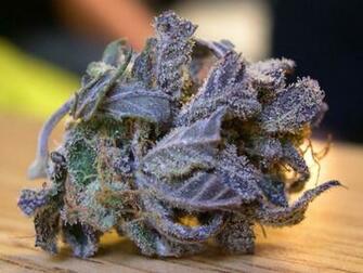 Purple Weed Wallpaper