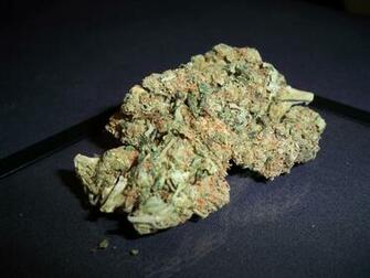 Marijuana Weeds Tv Series HD Wallpaper General