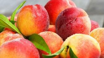 Peaches Nectarines Leaves 1440p Resolution Wallpaper