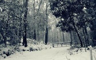 Winter Snow Wallpaper Nature HD High Quality