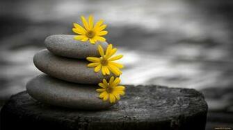 Zen Rock Wallpaper HD Background