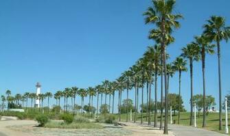 Travelling Background Long Beach California Wallpaper