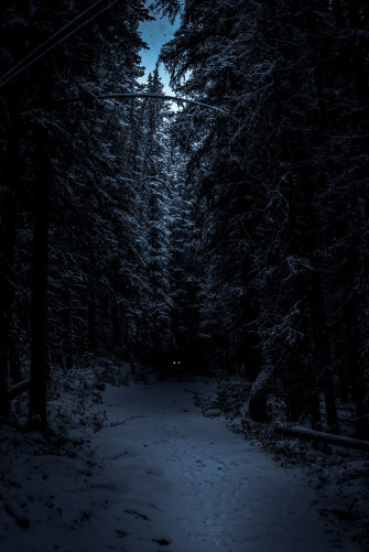 Dark Winter Pictures Image