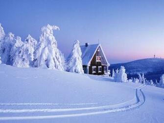 Christmas Snow Scene Wallpaper