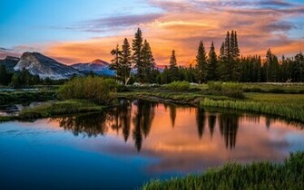 Beautiful Nature Ocean Forest HD Wallpaper Stylish
