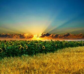 Htc One X Wallpaper Background