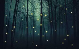 Fireflies Wallpaper HD For
