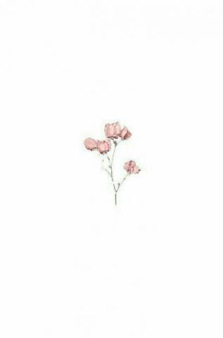 Pink And White Aesthetic Wallpaper Top