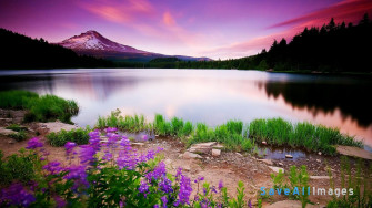 Beautiful Wallpaper Picture