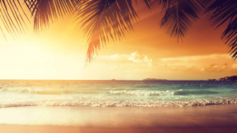 Tropical Beach With Palm Trees At Sunset UHD 4k Wallpaper