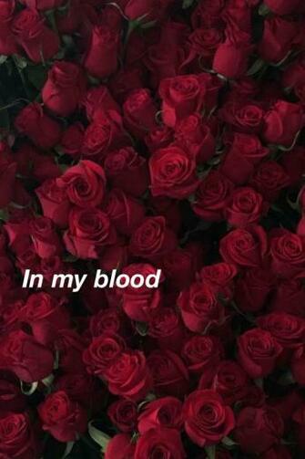 Htun Valentina On Lyric Wallpaper Trippy Rose