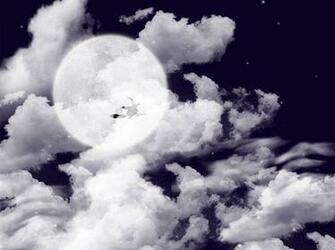 Halloween Moon Animated Wallpaper For Windows