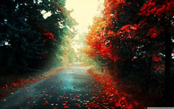 Chill Wallpaper High Definition
