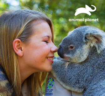 Discover The World Of Wildlife With Animal Planet Wallpaper