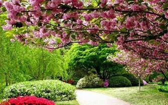Jardines De Primavera Fondo Pantalla