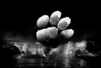 Clemson Tiger Paw Orange Purple Too