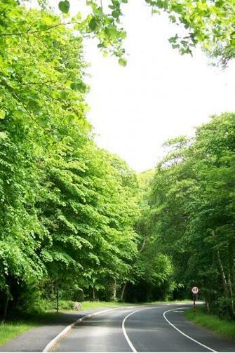 Buzz S iPhone Wallpaper Irish Country Road
